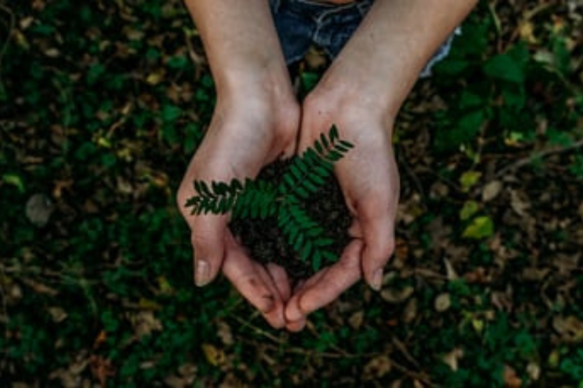 Mapping out the Green Economy
